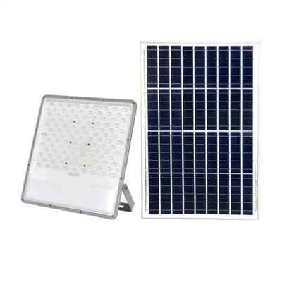 IP65 300 vatu LED prožektors
